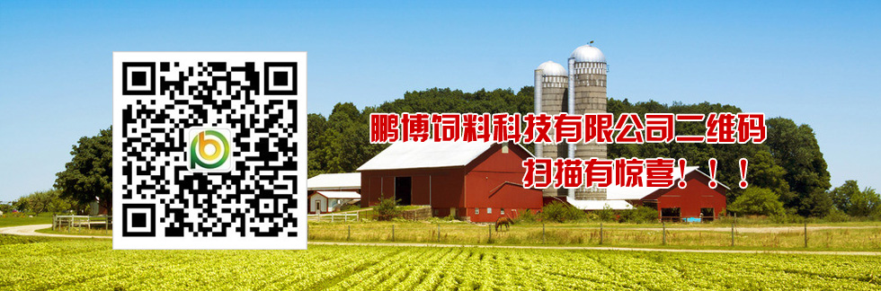 鵬博二維碼，掃描有驚喜！